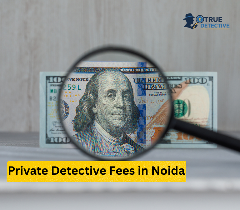 Private Detective Fees in Noida Complete Cost Guide (2026)